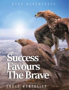 SUCCESS FAVOURS THE BRAVE Noah Mangwarara Author 2