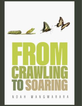 from crawling to Soaring noah mangwarara author books 2