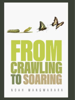 from crawling to Soaring noah mangwarara author books 2