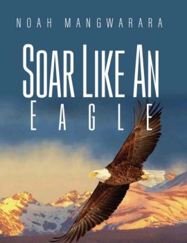 soar like an eagle noah mangwarara books author copy 1
