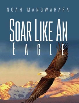 soar like an eagle noah mangwarara books author copy 1