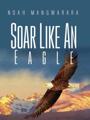 soar like an eagle noah mangwarara books author copy 1