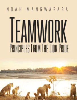 teamwork principles from the lion pride noah mangwarara books author copy