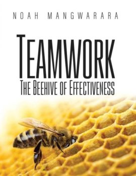 teamwork the beehive of effectiveness noah mangwarara books author copy