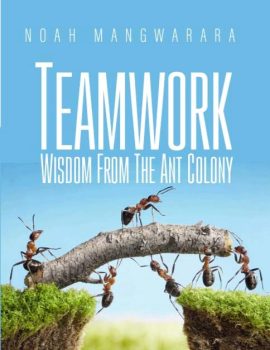 teamwork wisdom from the ant colony noah mangwarara books author 2