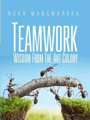 teamwork wisdom from the ant colony noah mangwarara books author 2